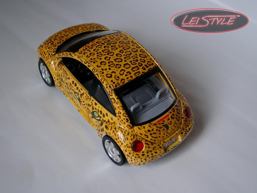 beetle-safari-9
